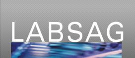 Pagina principal de www.labsag.co.uk